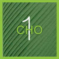 Chief Happiness Officer - CHO fundamental